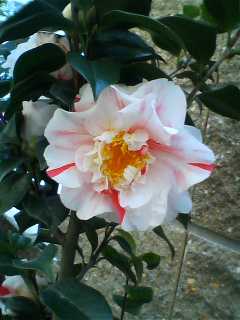 05_04_01-09_08_23.jpg