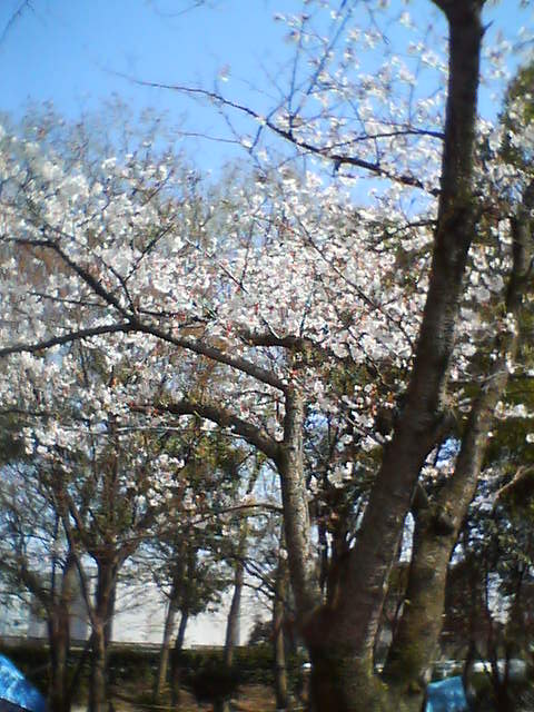 05_04_05-14_34_05.jpg