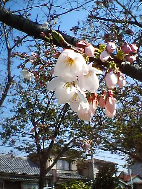 05_04_05-14_36_00.jpg