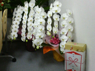 200604182045000.jpg