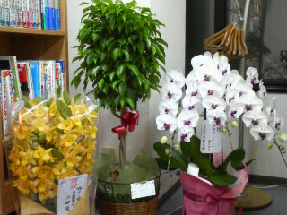 200604182046000.jpg