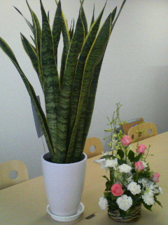 200604251552000.jpg