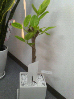 200604251805000.jpg
