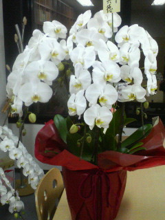 200604261931000.jpg