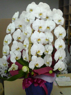 200604271146000.jpg