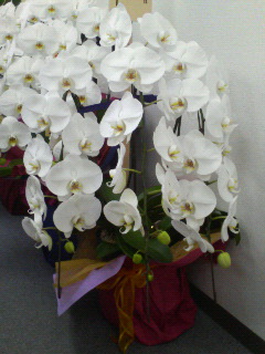 200604281141000.jpg