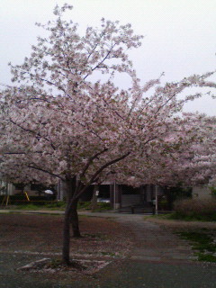 200604150750000.jpg