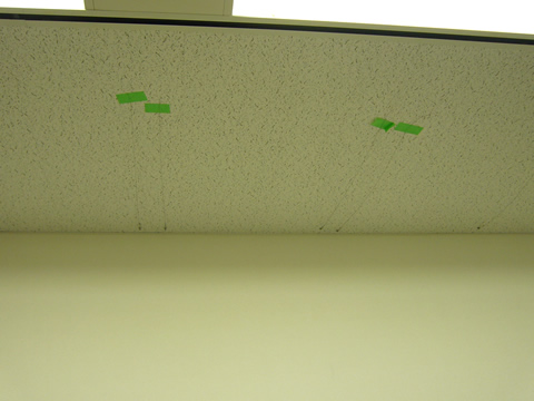 P1000522blog.jpg