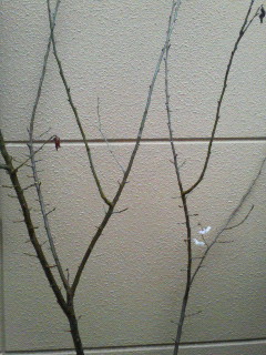 image001.jpg