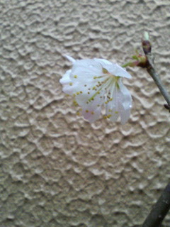 image002.jpg